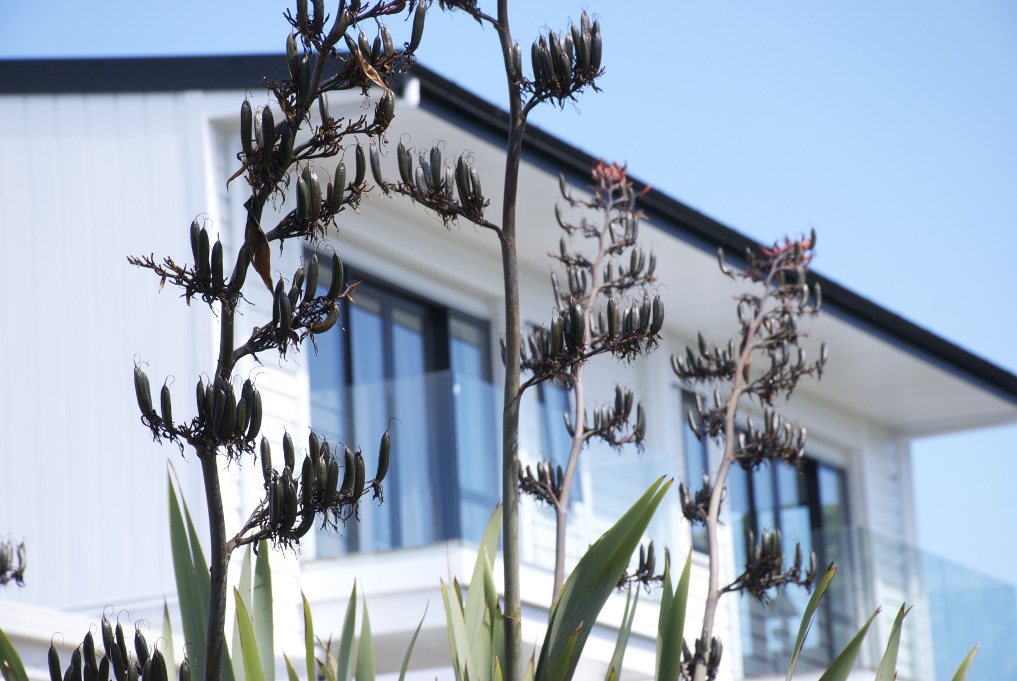 mortgage broker wellington